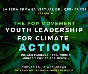 POP Trainee Mentors Organize a Webinar on Youth leadership for Climate Action