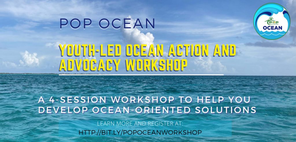 Youth-Led Ocean Action and Advocacy Workshop - The POP Movement