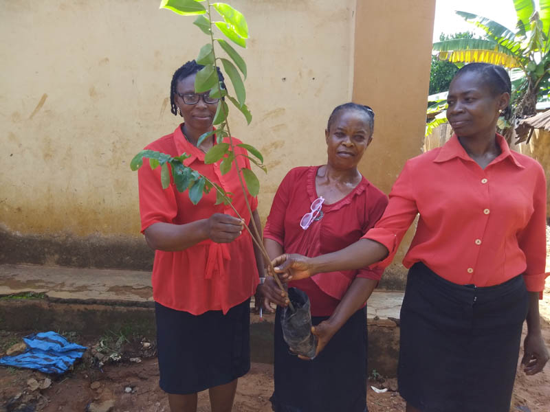 Planting on school grounds