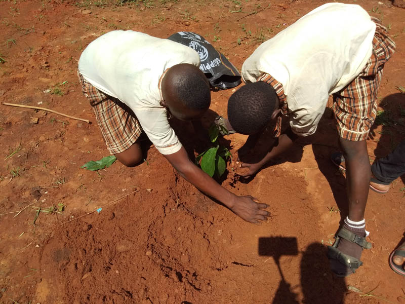 Promoting students’ relationship with nature