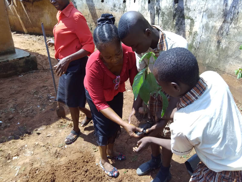 Tree plantation by primary school students
