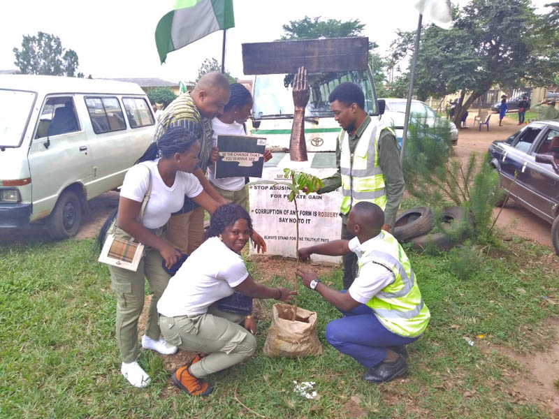 Tree plantation on school grounds