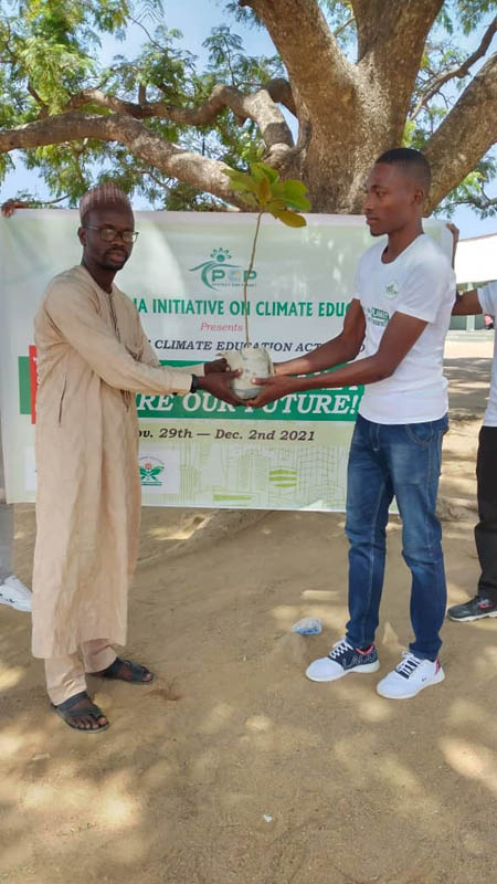 Donation of nursery tree seedlings