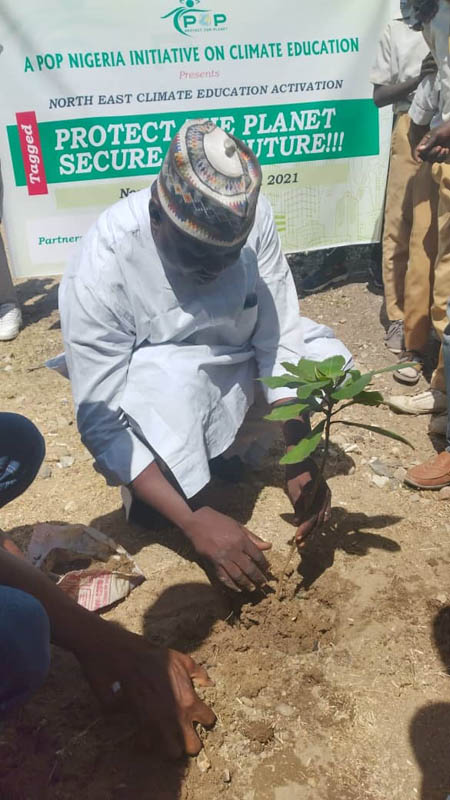 Planting of tree by the principal of a school in Bauchi state