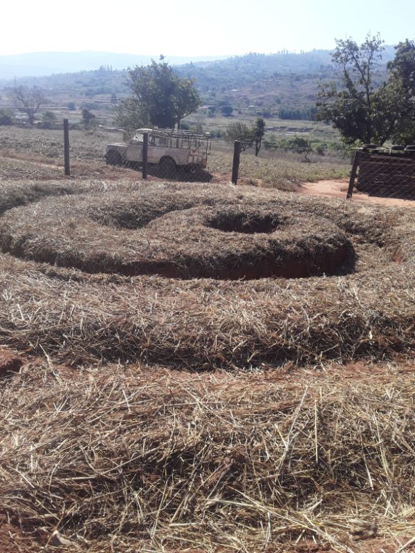 25 June- Natural resource conservation, Sibonile Mwarwirana, Zimbabwe