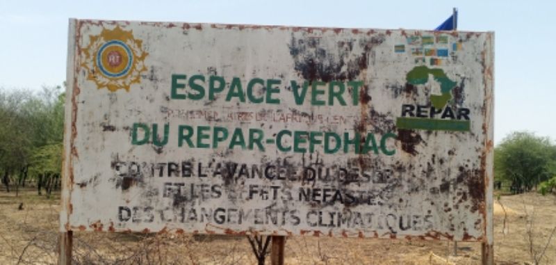 25 June- ARISTIDE ON-KEBA YAGO DERING from Chad, Operation _helping hand_ to the staff of the REPAR green space (cleaning, watering, planting trees, mounting flags)