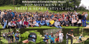 Reforestation at Corral de Piedra: POP Movement at Trees and Seas Festival 2022