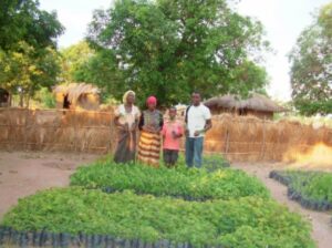 Reinforcing afforestation activities in the community