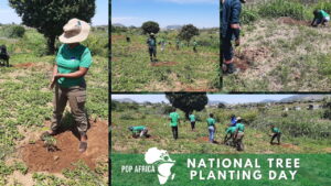 National Tree Planting Day