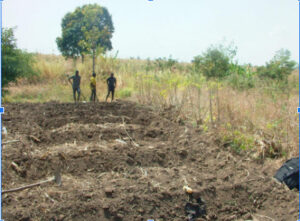 Climate smart agriculture on-field training