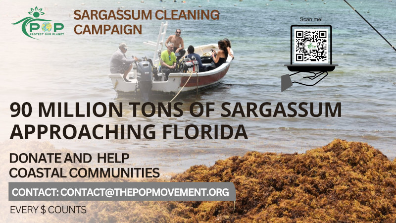 Sargassum-Fundraising-Campaign
