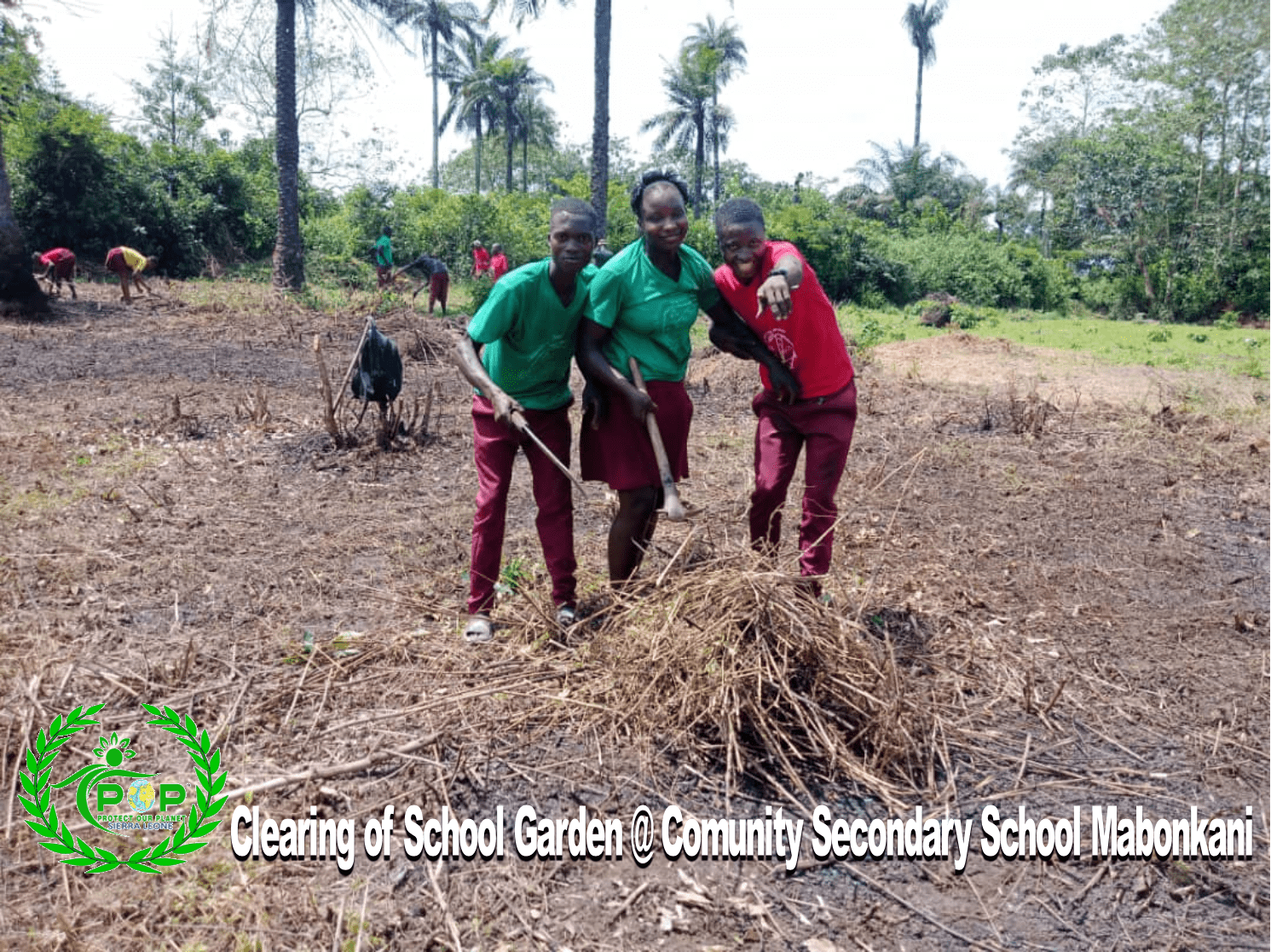 Agroecological Crop Planting of Cassava and Climate Education in School: Sierra Leone