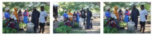 Building Climate-Resilient Households Through Backyard Gardening