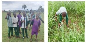 Beyond Planting: Teaching Young People to Care for Trees