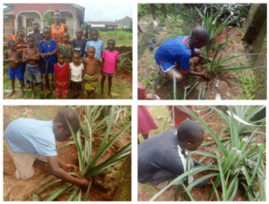Planting the Seeds of Responsibility: A Lesson in Sustainability